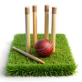 Cricket set on grass isolated on white background Royalty Free Stock Photo