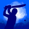 Cricket sport graphic in vector quality. Royalty Free Stock Photo
