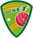Cricket sport ball shield Royalty Free Stock Photo