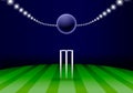 Cricket sports background with wickets and stadium lights, sports versus stadium backdrop Royalty Free Stock Photo