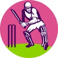 Cricket sports batsman wicket