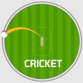 Cricket sports concept with sixer shot. Royalty Free Stock Photo