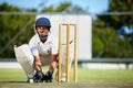 Cricket, sports and a man as wicket keeper on a pitch for training, game or competition. Male athlete behind stumps with Royalty Free Stock Photo