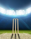 Cricket Stadium And Wickets Royalty Free Stock Photo