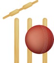 Cricket stumps