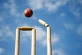 Cricket Stumps Royalty Free Stock Photo