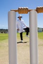Cricket stumps against referee standing at field
