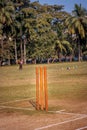 Cricket Stumps