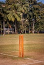 Cricket Stumps