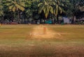 Cricket Stumps