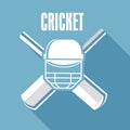 Cricket text with cricket objects.