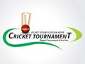 Cricket Tournament Banner Background