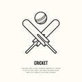 Cricket vector line icon. Bats and ball logo, equipment sign. Sport competition illustration