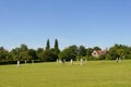 Cricket on The Village Green (with space for text) Royalty Free Stock Photo