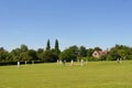 Cricket on The Village Green (with space for text)