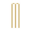 Cricket Wicket Icon