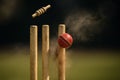 Cricket Wicket Impact â Dramatic Moment of Professional Match Royalty Free Stock Photo