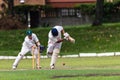 Cricket Wicket-Keeper Ball Batsman Royalty Free Stock Photo