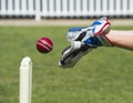 Cricket wicket keeper Royalty Free Stock Photo