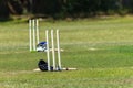 Cricket Wickets Pitch Helmets Bats