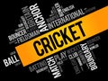 Cricket word cloud collage Royalty Free Stock Photo