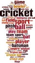 Cricket word cloud Royalty Free Stock Photo