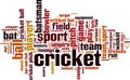 Cricket word cloud