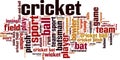 Cricket word cloud Royalty Free Stock Photo