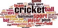 Cricket word cloud Royalty Free Stock Photo