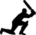Cricketer Silhouette Royalty Free Stock Photo