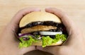 Crickets insect for eating as food items in bread burger with vegetable made of fried insect meat in the woman hands, it is good Royalty Free Stock Photo