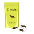 Crickets insects deep-fried crispy in packaging snack pouch wrapper ready to eating for take away. It is good source of protein