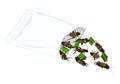 Crickets insects for eating as food deep-fried crispy snack with vegetable in a foil wrap bag ready to eat for take out. It is