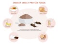 Crickets powder or Gryllus Bimaculatus. Insects powder as food edible processed made of insect for delicious cooking and drinks,
