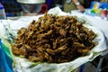Crickets to eat in Hpa An Myanmar
