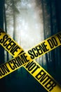 Crime scene in the woods Royalty Free Stock Photo