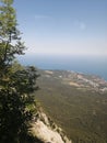 Crimea Rock valley tree Day Light