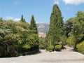 Crimea, Yalta. The avenue in ancient park