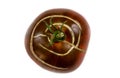 Crimean Black - Ancient Tomato -Top View.