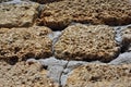 Crimean coquina rock blocks with cement wall close up texture