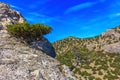 Crimean Mountains Royalty Free Stock Photo