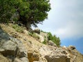In the Crimean mountains Royalty Free Stock Photo
