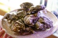 Crimean oysters with closed shells Royalty Free Stock Photo