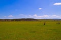 Crimean steppe Royalty Free Stock Photo