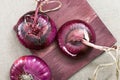 Crimean sweet onion on a old wooden board. Three whole large round onions on table