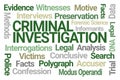 Criminal Investigation Word Cloud