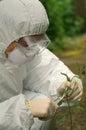 Criminologist investigates flower Royalty Free Stock Photo