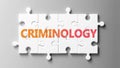 Criminology complex like a puzzle - pictured as word Criminology on a puzzle pieces to show that Criminology can be difficult and