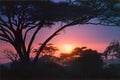 Crimson African sunrise