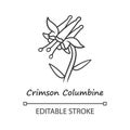 Crimson columbine linear icon. Thin line illustration. Aquilegia formosa inflorescence. Blooming wildflower. Red